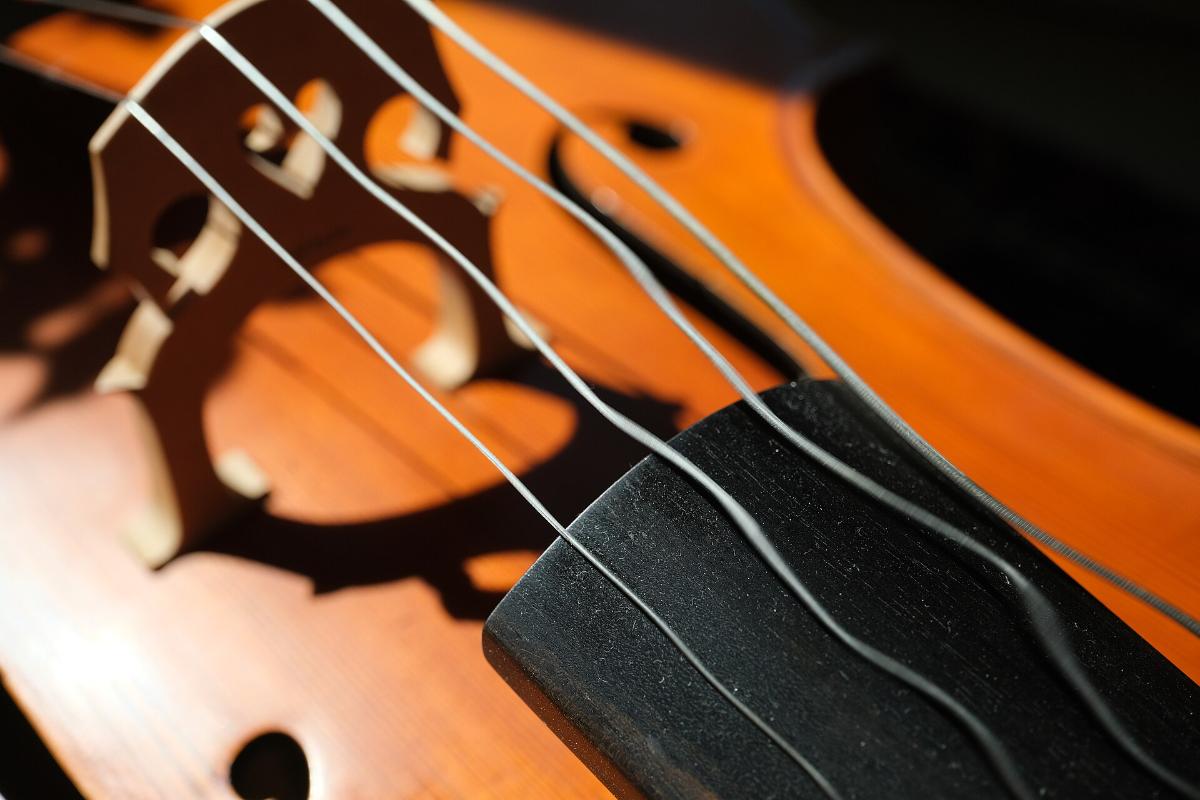 Rolling shutter made visible: cello strings bent by a line-by-line sensor readout.